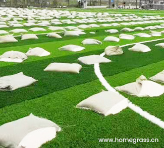 install sports turf step 10